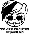 Anonymous Brony My Little Pony Expect Us | Die Cut Vinyl Sticker Decal Online