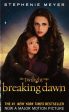 Breaking Dawn For Cheap