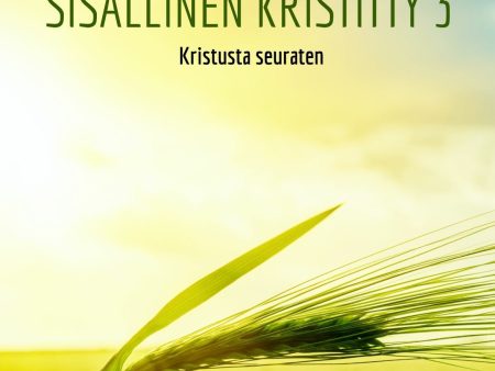 Sisällinen kristitty 3 Cheap