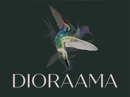 Dioraama For Cheap