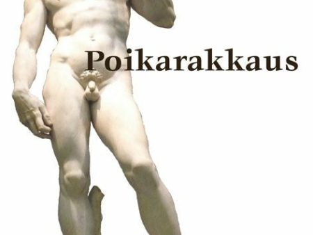 Poikarakkaus For Sale