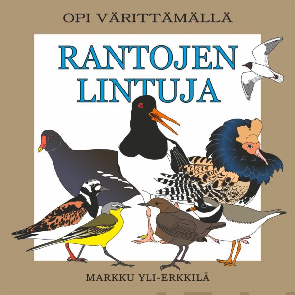 Rantojen lintuja For Sale